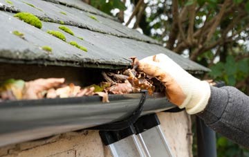 gutter cleaning Holcombe