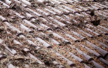 Holcombe roof cleaning companies