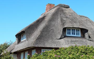 thatch roofing Holcombe
